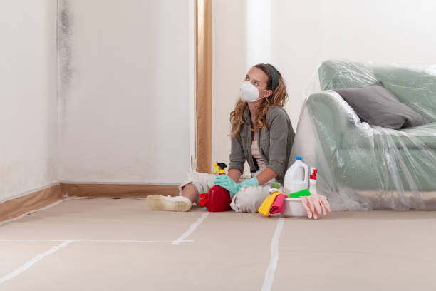 Reliable Mold Cleanup contractor in Swedesboro, NJ by WQB Mold Removal